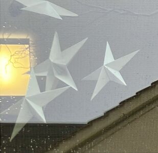 photo_2025-11-26_21-06-41