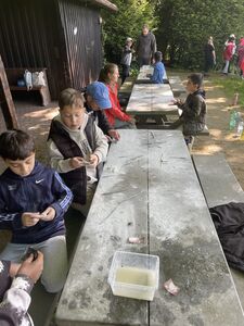 IMG_1547