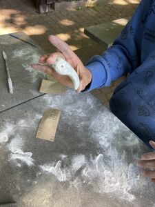 IMG_1548