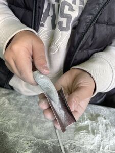 IMG_1550
