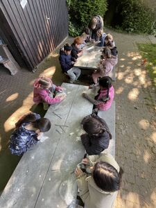 IMG_1584