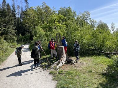 IMG_1611