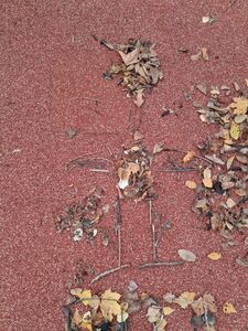 photo_2025-11-13_19-32-40