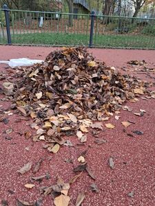 photo_2025-11-13_19-32-44