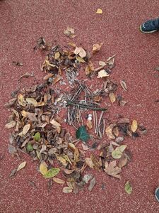 photo_2025-11-13_19-32-53