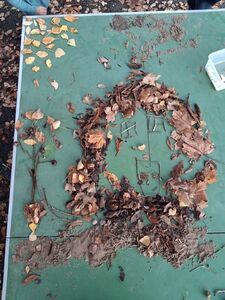 photo_2025-11-13_19-32-58