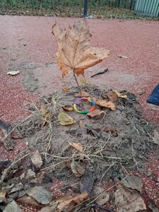 photo_2025-11-13_19-33-01