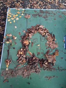 photo_2025-11-13_19-33-05