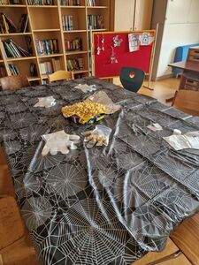 photo_2025-11-13_19-33-12