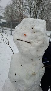 photo_2026-01-27_20-20-31