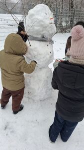 photo_2026-01-27_20-20-36