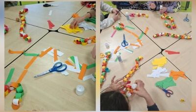 photo_2026-02-16_12-33-35